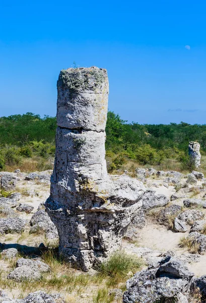 Přírodní úkaz vzdáleného Kamani, známý jako The Stone Forest. Varna, Bulharsko — Stock fotografie