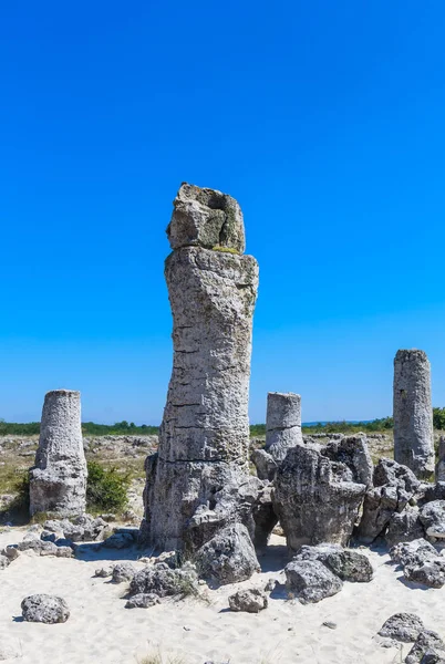 The natural phenomenon Pobiti Kamani, known as The Stone Forest.  Varna, Bulgaria — Stock Photo, Image