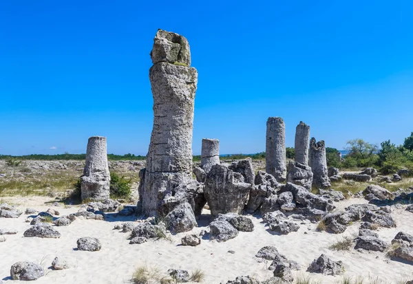 Природні явища, Pobiti Kamani, відомого як кам'яний ліс. Варна, Болгарія — стокове фото