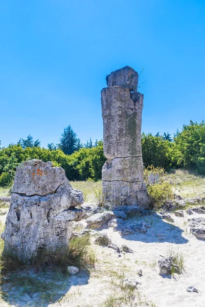 Zjawisko naturalne Pobiti Kamani, znany jako The Stone Forest. Varna, Bułgaria — Zdjęcie stockowe