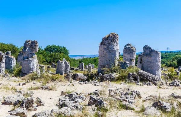 A természeti jelenség Pobiti Nóra, ismert, mint a kő-erdő. Várna, Bulgária — Stock Fotó