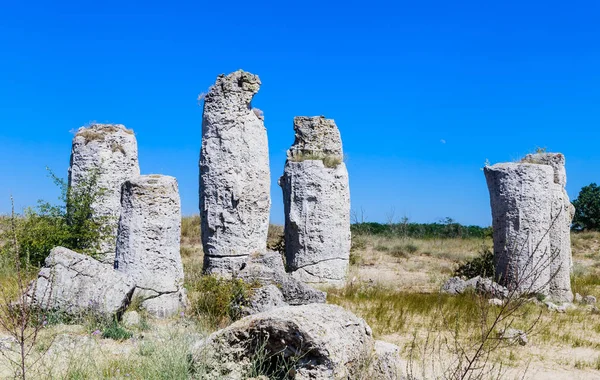 Doğal olay Pobiti Kamani, taş orman olarak bilinir. Varna, Bulgaristan