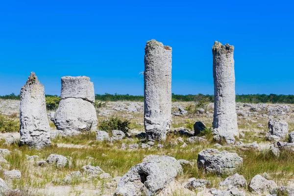 Il fenomeno naturale Pobiti Kamani, Varna, Bulgaria — Foto Stock