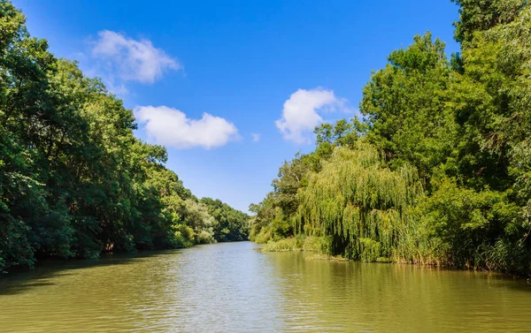 Río Kamchia en Bulgaria durante el verano — Foto de Stock