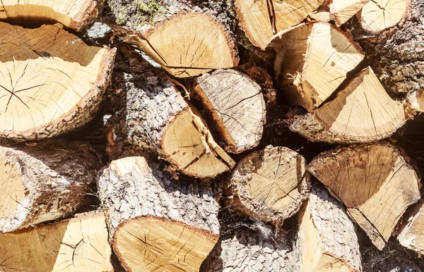 Brandhout gestapeld in een houtstapel — Stockfoto