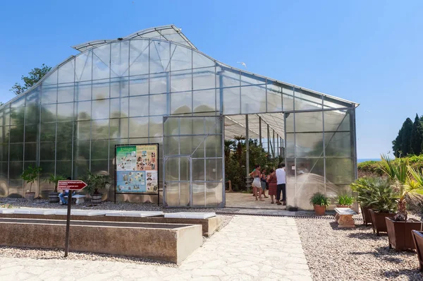 Broeikasgassen cactussen in de botanische tuin in Balchik, Bulgarije — Stockfoto