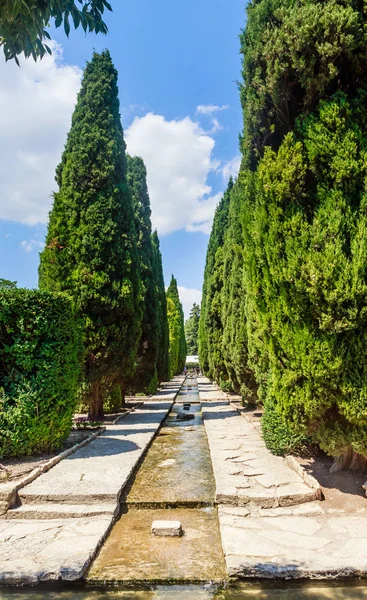 Ogród botaniczny w Bałcziku. Terytorium Pałac rumuńskiej królowej Marii. Bułgaria — Zdjęcie stockowe