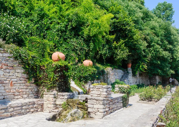 발 치크에서 식물 정원입니다. 루마니아어 여왕 마리아의 궁전의 영토. 불가리아 — 스톡 사진