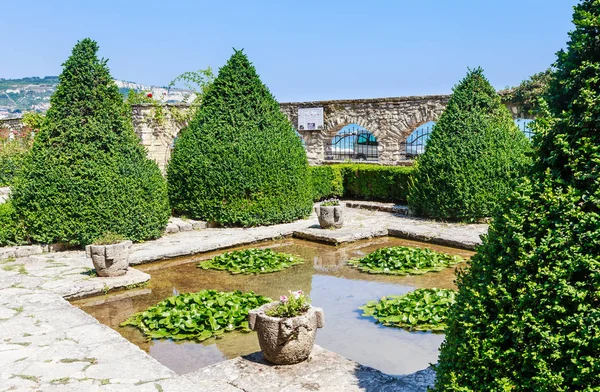 Staw z białe lilie. Ogród botaniczny w Balchik.Bulgaria. — Zdjęcie stockowe