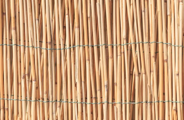 Бамбуковая текстура стен из тростника — стоковое фото