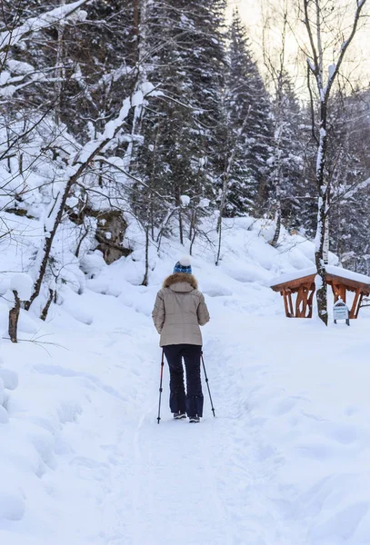 Frauen bekommen Nordic Walking. Kurort Belokurikha. altai, russland — Stockfoto