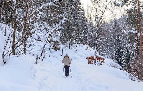 女人得到北欧行走。贝洛库里卡度假村。阿尔泰, 俄罗斯 — 图库照片