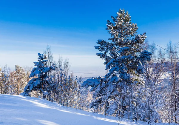 Vista desde la montaña Tserkovka en las montañas Altai en invierno . —  Fotos de Stock