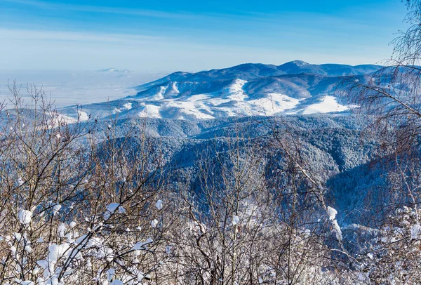 Vista dalla montagna di Tserkovka nelle montagne Altai in inverno . — Foto Stock