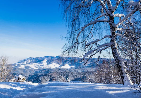 Vista dalla montagna di Tserkovka nelle montagne Altai in inverno . — Foto Stock