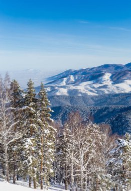 Tserkovka dağın Altay Dağları kışın görüntüleyin.