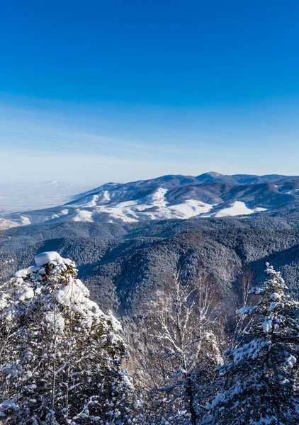 Vista dalla montagna di Tserkovka alle montagne Altai in inverno . — Foto Stock