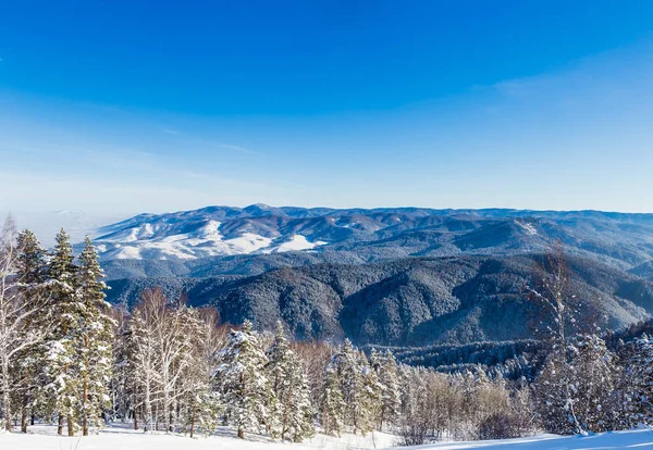 查看从 Tserkovka 山到阿尔泰山中的冬天. — 图库照片