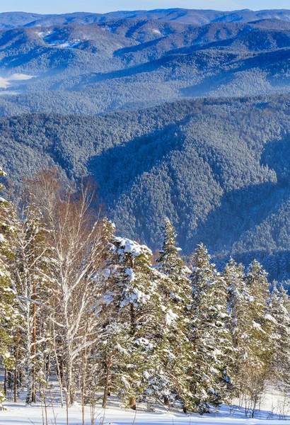 Вид с горы Церковка в горах Алтая зимой . — стоковое фото