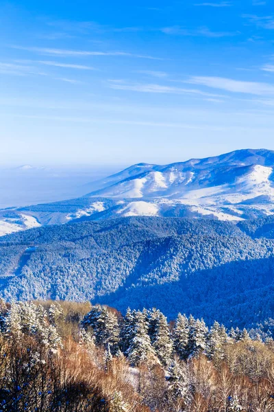 Вид с горы Церковка на горы Алтай зимой. Курорт Белокуриха, Алтай, Россия — стоковое фото