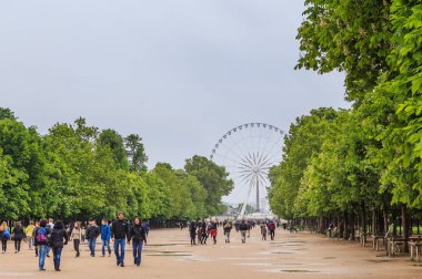  Turistlerin Louvre Müzesi Tuileries Parkı üzerinde yürümek. 