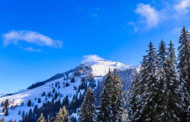  Dağ Hohe Salve kışın kar ile. Kayak Merkezi Soll, Tyro