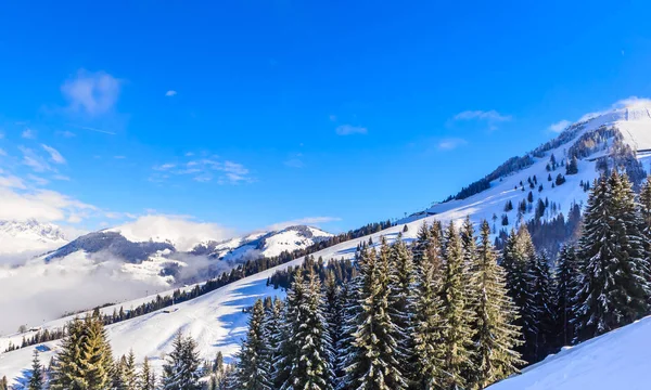 Kışın kar ile Dağları. Kayak Soll, Tyrol, Avusturya