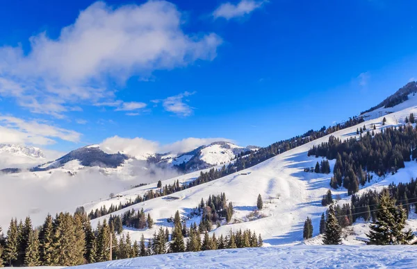 冬季积雪的山脉。滑雪胜地 Soll，奥地利蒂罗尔 — 图库照片