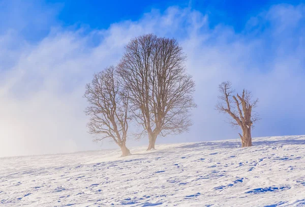 Winter landschap in het skigebied Soll, Tirol, Austria — Stockfoto