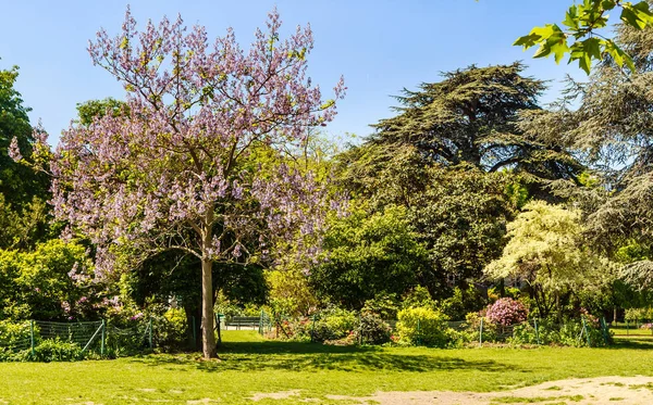 Park Champ de Mars w Paryż, Francja — Zdjęcie stockowe