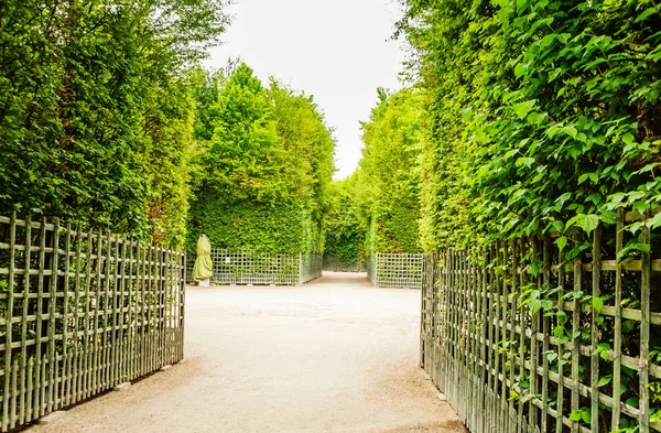 Callejón en el Parque de Versalles . — Foto de Stock
