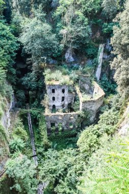 Antik pastoral harabe bir Mill Valley 