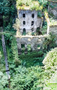 Antik pastoral harabe bir Mill Valley 