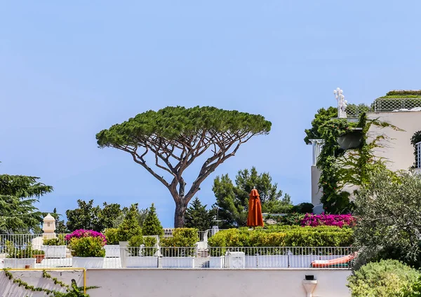 Capri Italia Julio 2017 Villa Capri Island Anacapri Italia — Foto de Stock