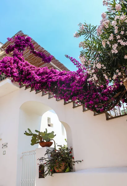 Bourgainvillea Crece Sobre Las Escaleras Villa Pueblo Anacapri Isla Capri — Foto de Stock