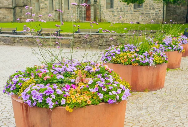 Grandi pentole con fiori decorativi sulla strada della città. Stavanger , — Foto Stock