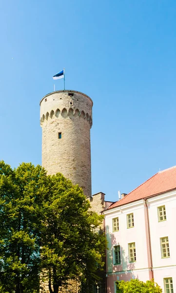 Pikk Hermann, Riigikogu Ulusal Meclis, Toompea, Tallinn, — Stok fotoğraf