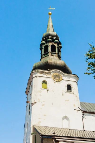 Башня Домкирхе на холме Тоопмеа, Таллинн, Эстония, Европа — стоковое фото