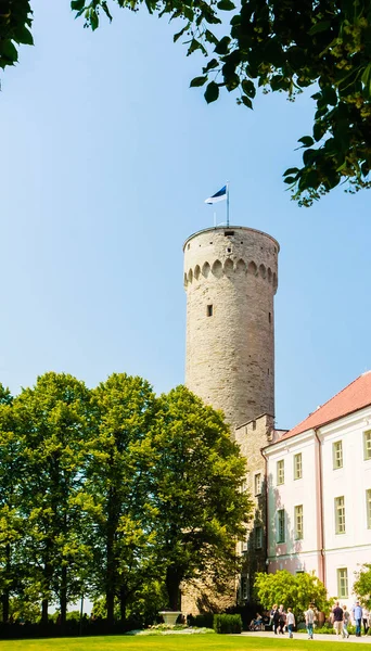 Pikk Hermann, Riigikogu the national assembly, Toompea, Tallinn, — Stock Photo, Image