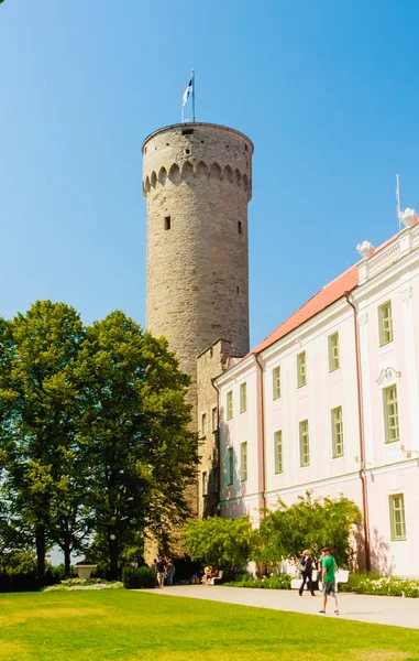 Pikk Hermann, Riigikogu Zgromadzenie Narodowe, Toompea, Tallin, — Zdjęcie stockowe