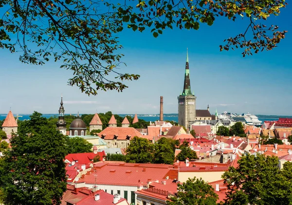 Edificios antiguos en el casco antiguo, puerto y centro de Tallin, E —  Fotos de Stock