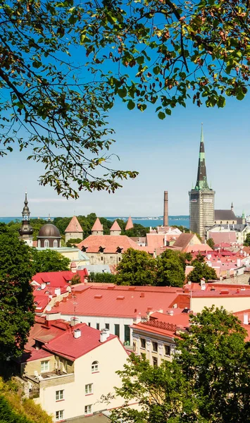 Régi épületek az Óvárosban, kikötő és belváros Tallinn, E — Stock Fotó