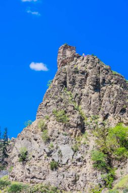 Narikala 'nın antik kalesi. Ulusal Botanik Bahçesi 'nin yanından bak. Georgia mı? Tiflis.
