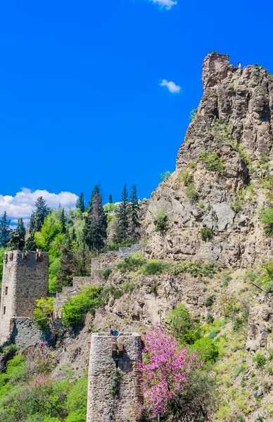 Narikala Ősi Erődje Kilátás Nemzeti Botanikus Kert Oldaláról Georgia Vagyok — Stock Fotó