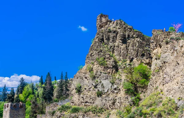 Starożytna Twierdza Narikala Widok Boku Narodowego Ogrodu Botanicznego Gruzja Tbilisi — Zdjęcie stockowe