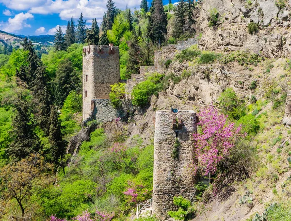 Narikala Nın Antik Kalesi Ulusal Botanik Bahçesi Nin Yanından Bak — Stok fotoğraf