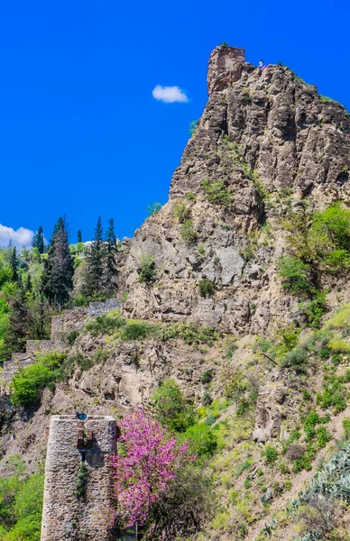 Starożytna Twierdza Narikala Widok Boku Narodowego Ogrodu Botanicznego Gruzja Tbilisi — Zdjęcie stockowe