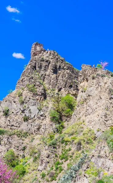 Starożytna Twierdza Narikala Widok Boku Narodowego Ogrodu Botanicznego Gruzja Tbilisi — Zdjęcie stockowe