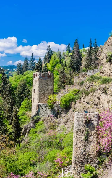 Narikala Ősi Erődje Kilátás Nemzeti Botanikus Kert Oldaláról Georgia Vagyok — Stock Fotó