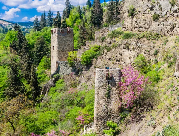Ancienne Forteresse Narikala Vue Côté Jardin Botanique National Géorgie Tbilissi — Photo